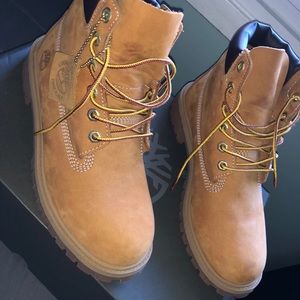 Timberland premium 6 in. waterproof boot wheat